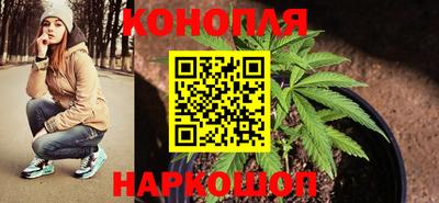 индика Краснодар