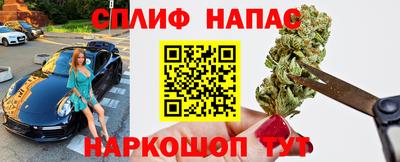 мяу мяу мука Краснознаменск