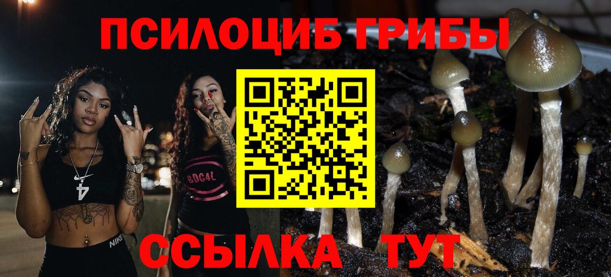 Галлюциногенные грибы прущие грибы  Галлюциногенные грибы мицелий  Вход с VPN  Бирск 